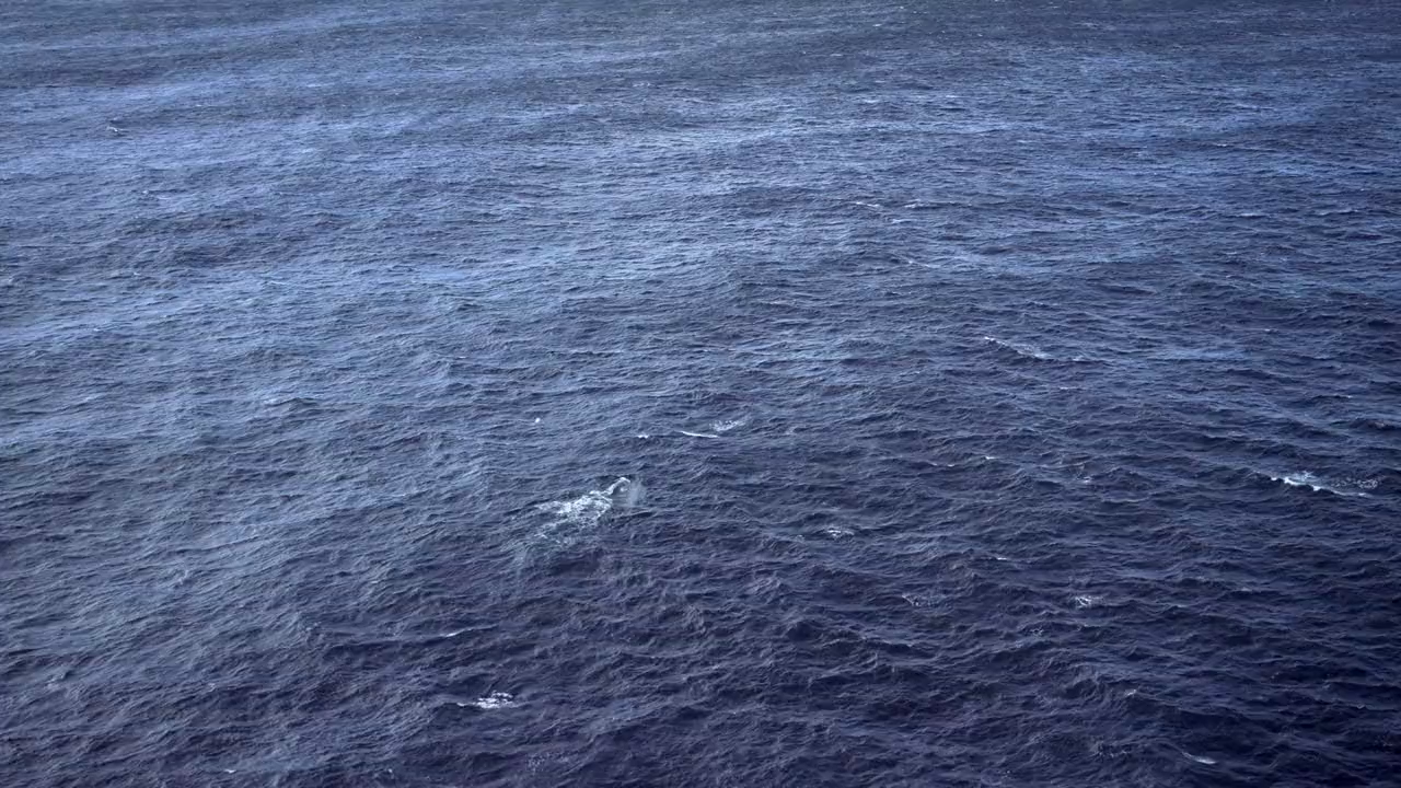 Wild Ocean (2008) BluRay English 720p x264 AVC AAC 2.0.mkv.0001